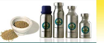 Ajowan Oil Buy Online