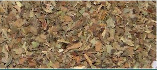 Basil Oils Suppliers