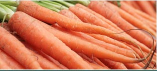 Carrot Seed Essential Oils