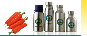 Carrot Seed Oils Suppliers