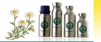 Chamomile Essential Oils Exporters