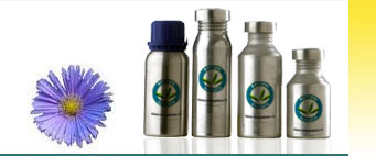 Chamomile Blue Essential Oils Exporters