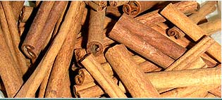 Cinnamon Oils Suppliers