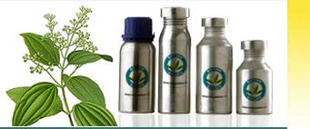 Cinnamon Essential Oils Exporters