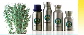 Davana Essential Oils Exporters
