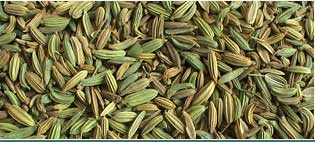 Fennil Oils Suppliers