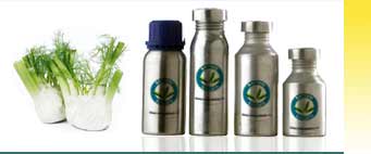 Fennil Essential Oils Exporters