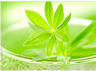 Aromatic Floral Waxes