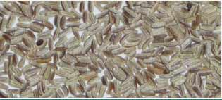 German Chamoile Essential Oils Exporters