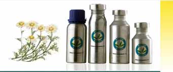 German Chamoile Suppliers