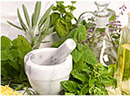 Ashwagandha Powder Exporters