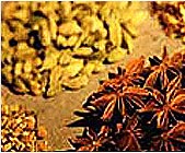 Cardamom Seeds Supplier