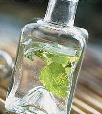 Essential Oils Supplier
