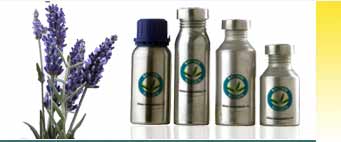 Lavender Bulgarian Essential Oils Exporters