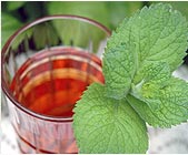 Mint Oil Suppliers