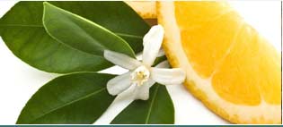 Neroli Oils Suppliers