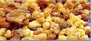 Olibanum Oils Suppliers