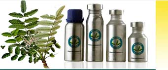 Olibanum Essential Oils Exporters
