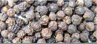 Pepper Black Oils Suppliers