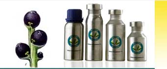 Pepper Black Essential Oils Exporters