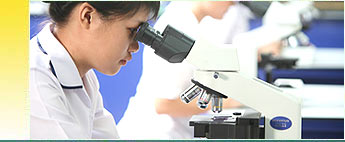 Carrier Oils Supplier