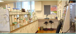 Base Oils Exporters