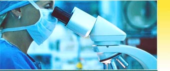 Essential Oils Exporters