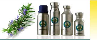 Rosemary Essential Oils Exporters