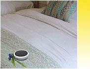 Aroma Diffuser