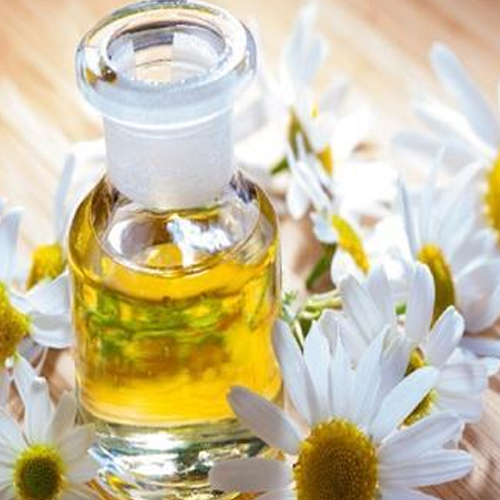 Chamomile Oil