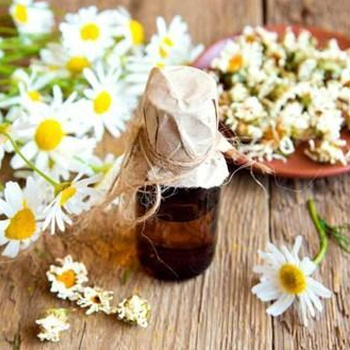 German Chamomile Oils From India