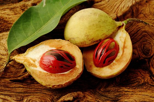 NUTMEG OIL INDONESIA