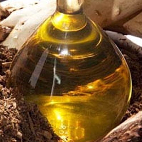 Sandal Wood Oil